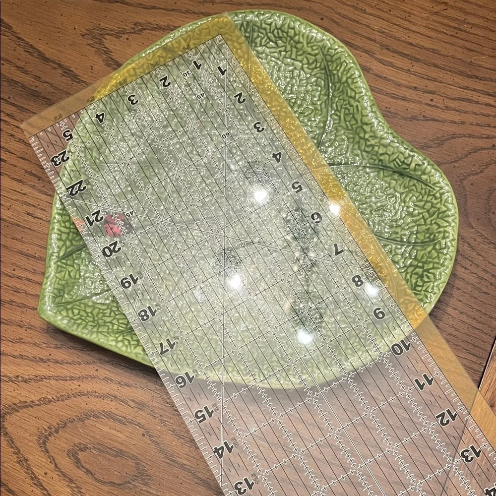 Pier 1 Imports Ladybug Leaf Dinner Plate‎